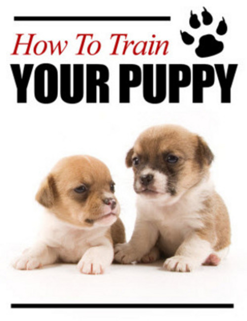 Product picture How To Train Your Puppy Ebook With PLR