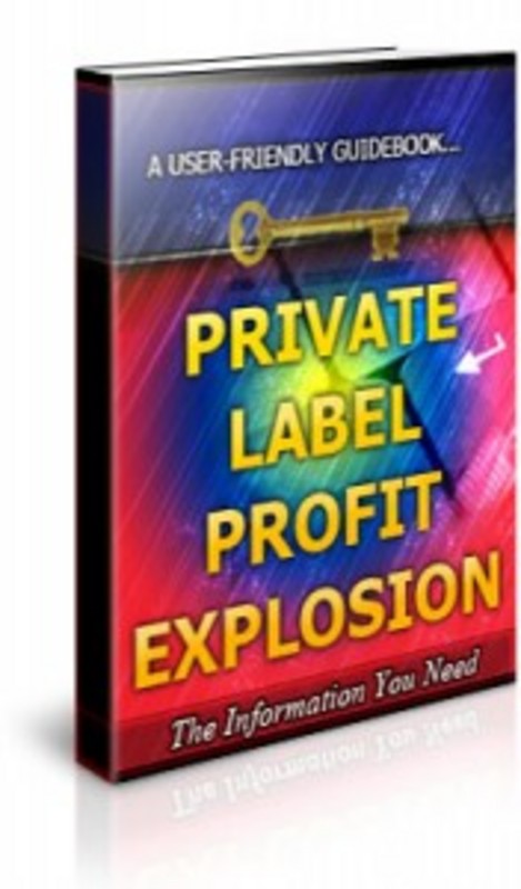 Product picture Private Label Profit Explosion Ebook With PLR