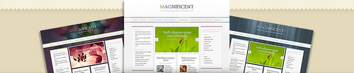 Product picture Download Magnificent WordPress Theme