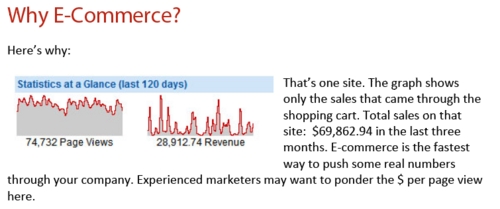 Product picture Google Wants Sites Like These - Panda Penguin Proof, Newbie 