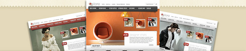 Product picture eStore eCommerce WordPress Theme