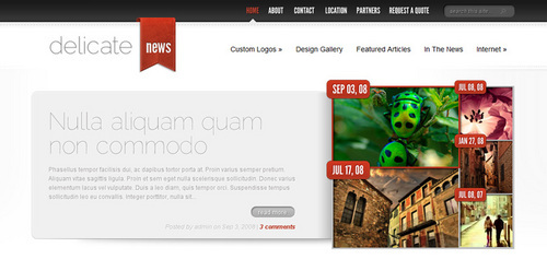 Product picture Download DelicateNews WordPress Theme