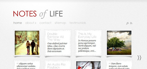 Product picture Download DailyNotes WordPress Theme