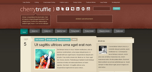Product picture Download CherryTruffle WordPress Theme