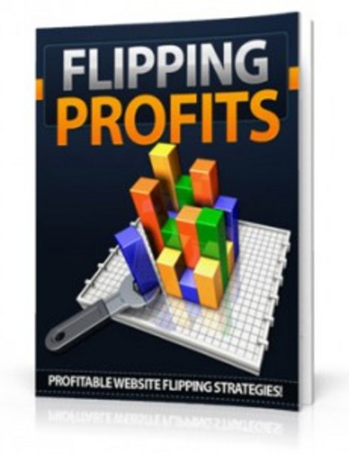 Product picture Download Flipping Profits With PLR