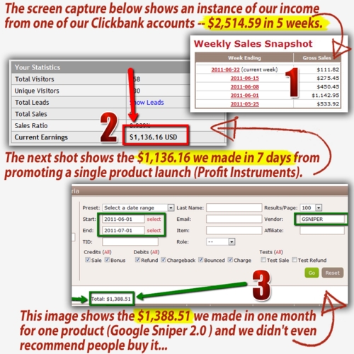 Product picture Maximize your Affiliate Marketing profits BluePrint Ebook Download