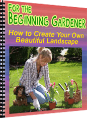 Product picture How to Create Your Own Beautiful Landscape
