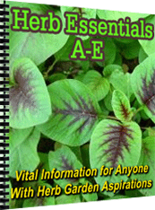 Product picture Herb Essentials A-E