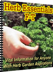 Product picture Herb Essentials F-T